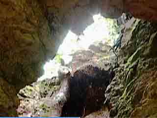 صور Ichalkovsky pine forest, caves المناظر الطبيعية